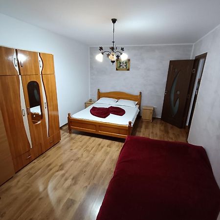 Apartament Nemira Slănic-Moldova エクステリア 写真