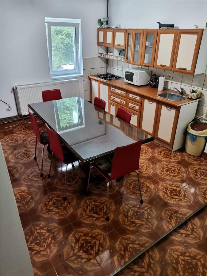 Apartament Nemira Slănic-Moldova エクステリア 写真