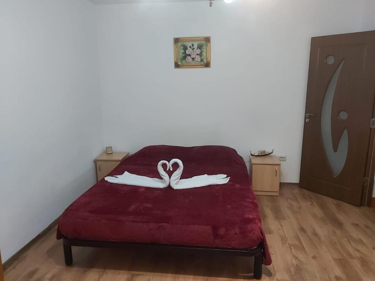 Apartament Nemira Slănic-Moldova エクステリア 写真