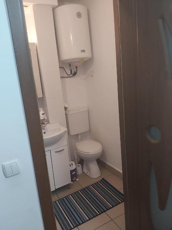 Apartament Nemira Slănic-Moldova エクステリア 写真