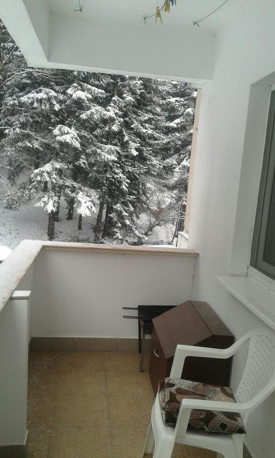 Apartament Nemira Slănic-Moldova エクステリア 写真